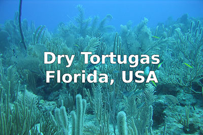 Underwater coral image with text Dry Tortugas, Florida, USA.