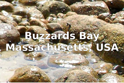 Image of intertidal area with text Buzzards Bay, Massachusetts, USA.