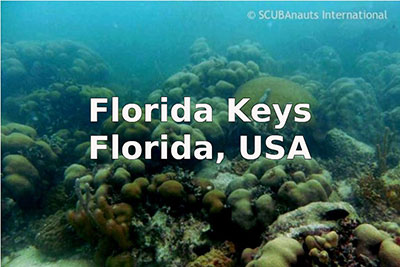 Photo of underwater corals with the text Florida Keys, Florida, USA.
