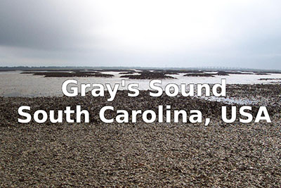 Image of coastal area with text Gray's Sound, South Carolina, USA.